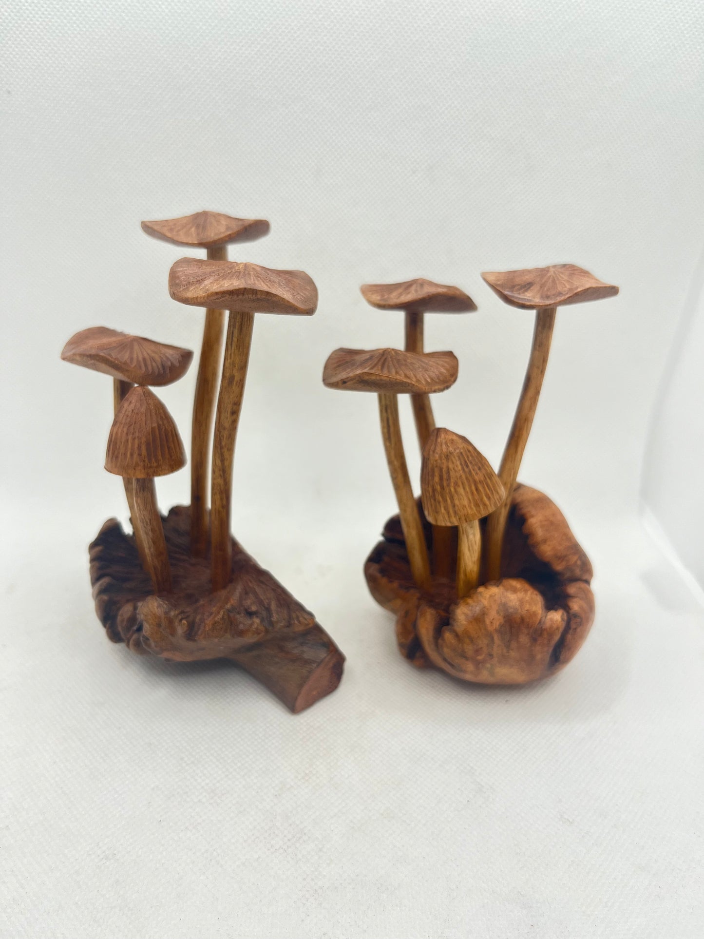 Wood Fluted Mushroom Group 4